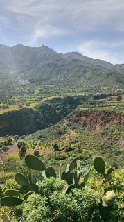 GC-Mirador El Helechal 2026-08.jpg